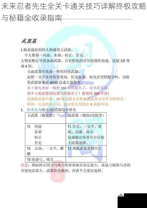 未来忍者先生全关卡通关技巧详解终极攻略与秘籍全收录指南
