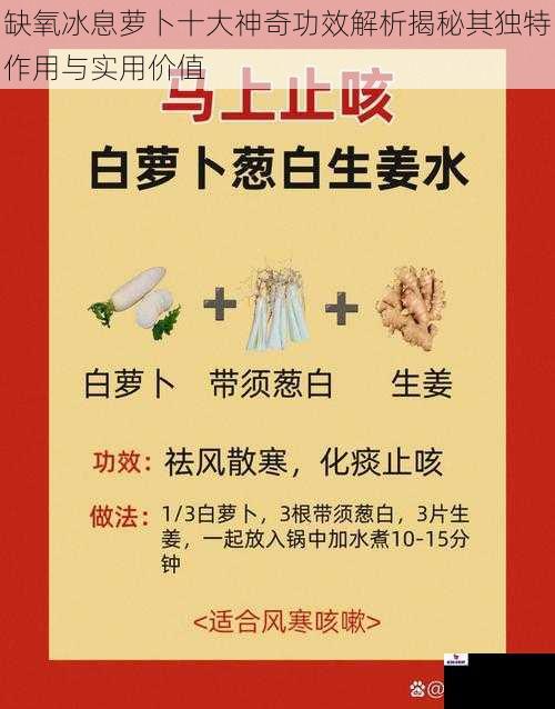 缺氧冰息萝卜十大神奇功效解析揭秘其独特作用与实用价值