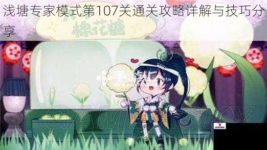 浅塘专家模式第107关通关攻略详解与技巧分享