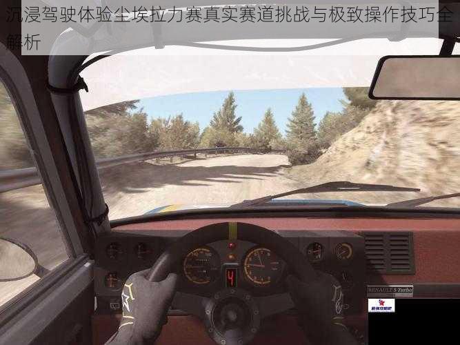 沉浸驾驶体验尘埃拉力赛真实赛道挑战与极致操作技巧全解析