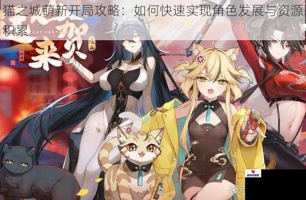 猫之城萌新开局攻略：如何快速实现角色发展与资源积累