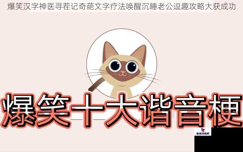 爆笑汉字神医寻茬记奇葩文字疗法唤醒沉睡老公逗趣攻略大获成功