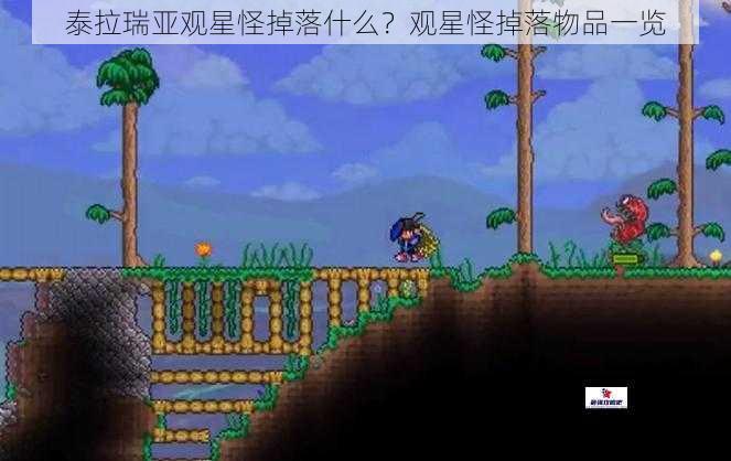 泰拉瑞亚观星怪掉落什么？观星怪掉落物品一览