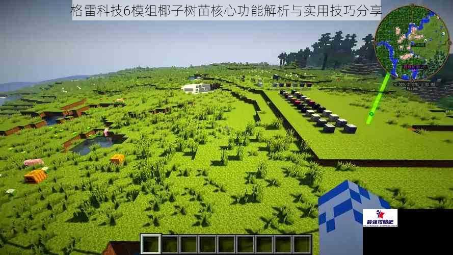 格雷科技6模组椰子树苗核心功能解析与实用技巧分享