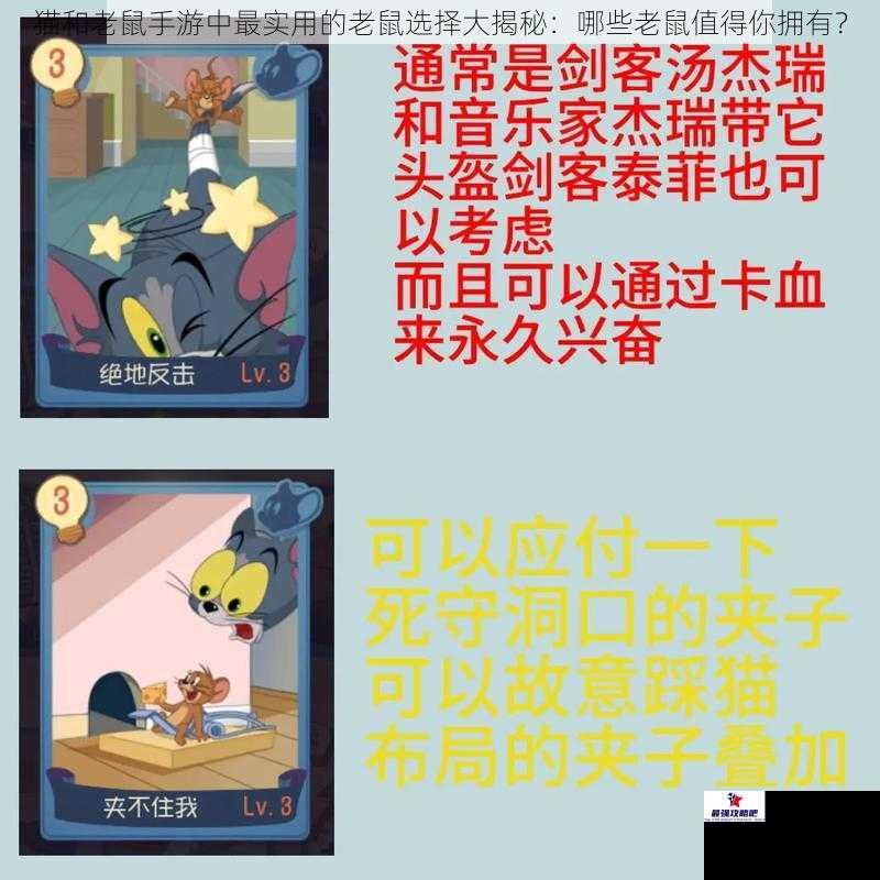 猫和老鼠手游中最实用的老鼠选择大揭秘：哪些老鼠值得你拥有？