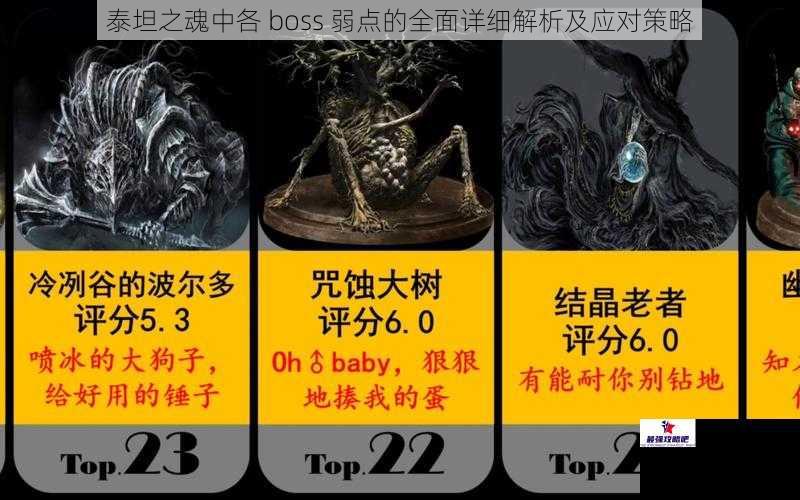 泰坦之魂中各 boss 弱点的全面详细解析及应对策略