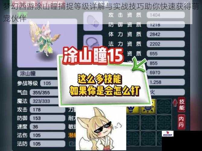 梦幻西游涂山瞳捕捉等级详解与实战技巧助你快速获得萌宠伙伴
