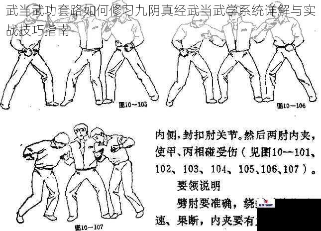 武当武功套路如何修习九阴真经武当武学系统详解与实战技巧指南