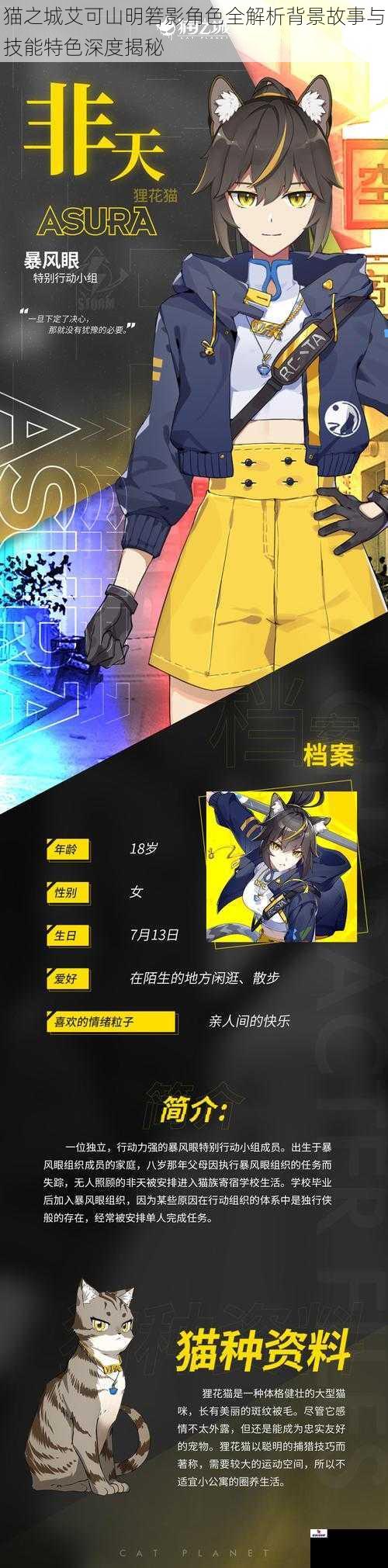 猫之城艾可山明箬影角色全解析背景故事与技能特色深度揭秘