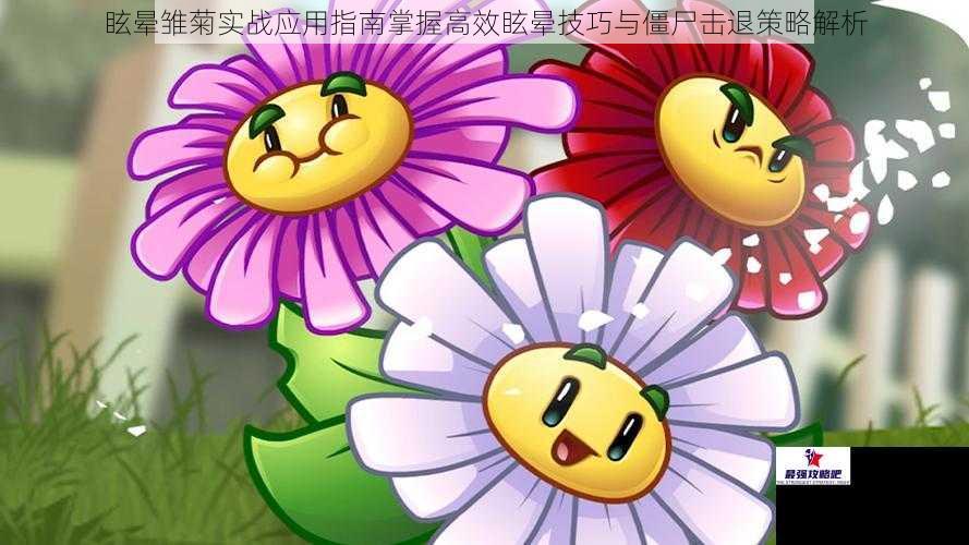 眩晕雏菊实战应用指南掌握高效眩晕技巧与僵尸击退策略解析
