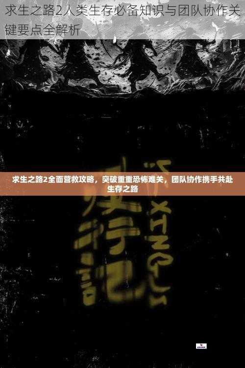 求生之路2人类生存必备知识与团队协作关键要点全解析