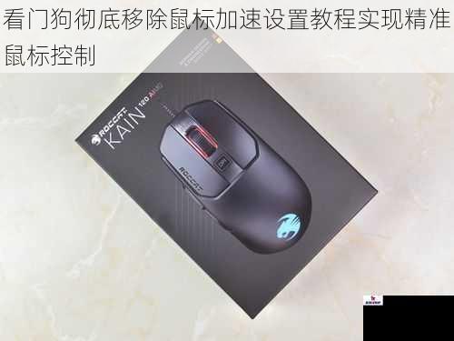 看门狗彻底移除鼠标加速设置教程实现精准鼠标控制