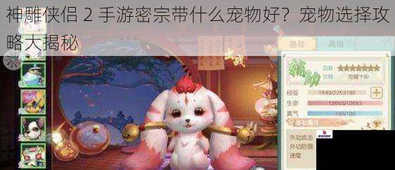 神雕侠侣 2 手游密宗带什么宠物好？宠物选择攻略大揭秘