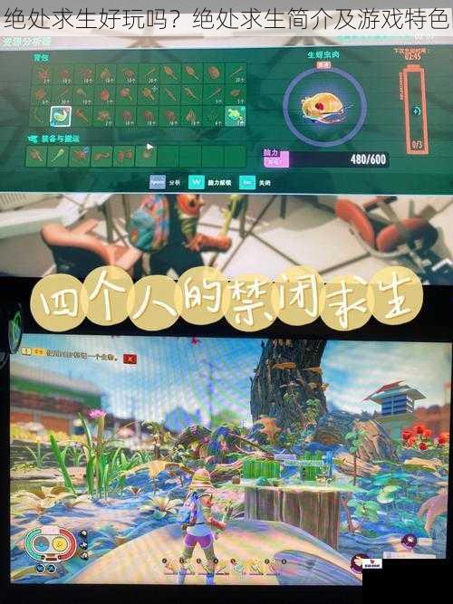 绝处求生好玩吗？绝处求生简介及游戏特色