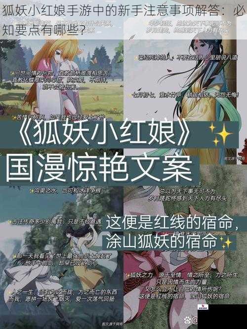 狐妖小红娘手游中的新手注意事项解答：必知要点有哪些？