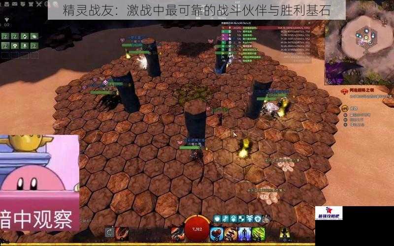 精灵战友：激战中最可靠的战斗伙伴与胜利基石
