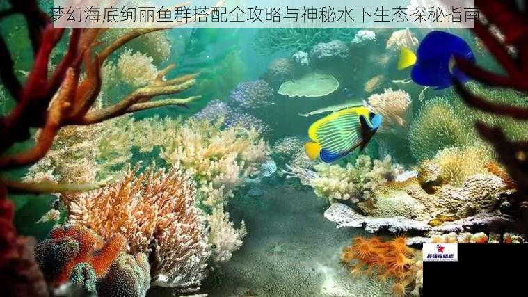 梦幻海底绚丽鱼群搭配全攻略与神秘水下生态探秘指南