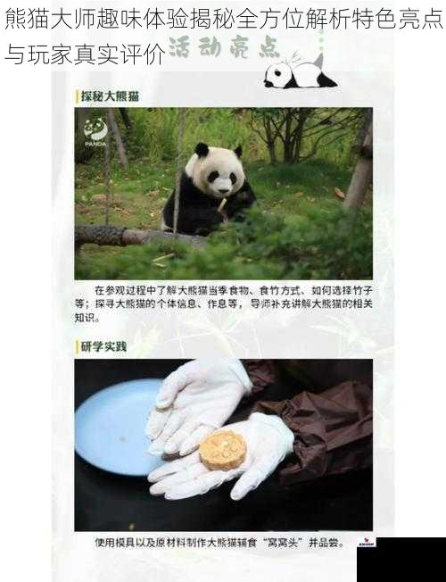 熊猫大师趣味体验揭秘全方位解析特色亮点与玩家真实评价
