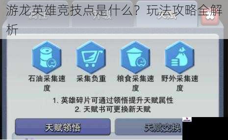 游龙英雄竞技点是什么？玩法攻略全解析