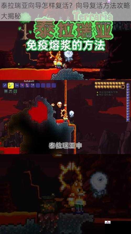 泰拉瑞亚向导怎样复活？向导复活方法攻略大揭秘