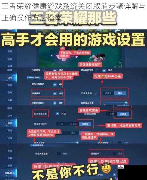 王者荣耀健康游戏系统关闭取消步骤详解与正确操作方法指南