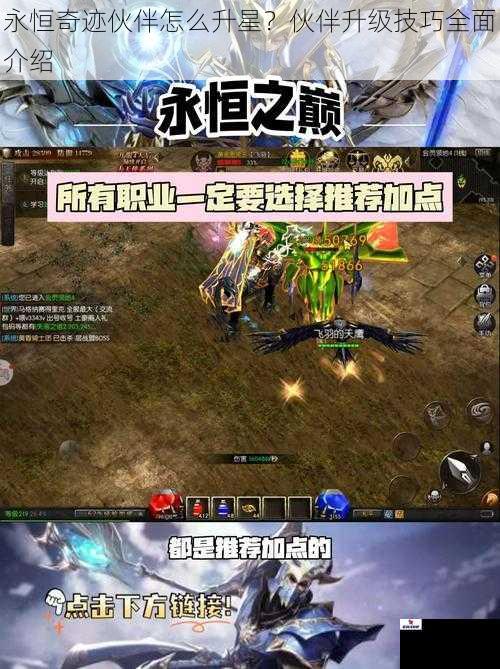永恒奇迹伙伴怎么升星？伙伴升级技巧全面介绍