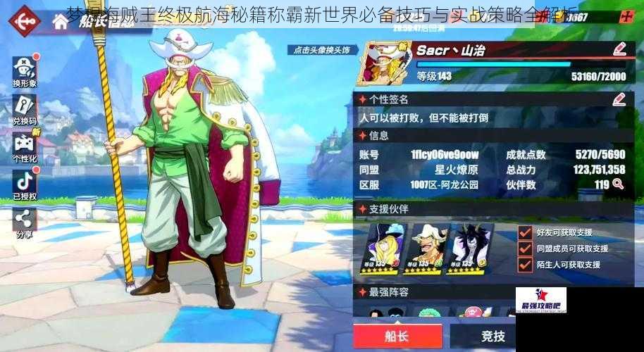 梦想海贼王终极航海秘籍称霸新世界必备技巧与实战策略全解析