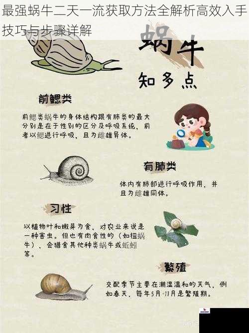 最强蜗牛二天一流获取方法全解析高效入手技巧与步骤详解