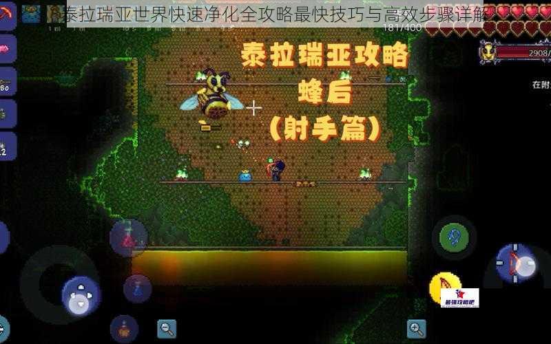 泰拉瑞亚世界快速净化全攻略最快技巧与高效步骤详解