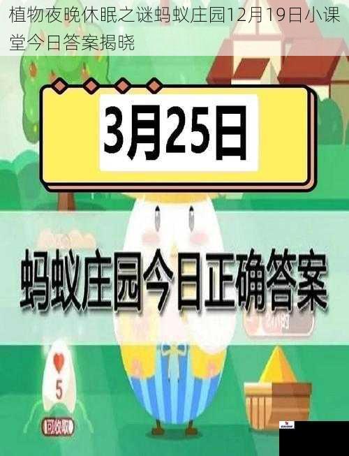 植物夜晚休眠之谜蚂蚁庄园12月19日小课堂今日答案揭晓