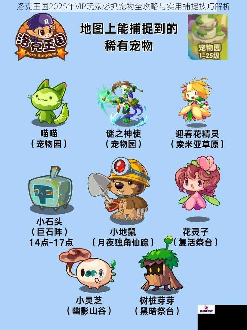 洛克王国2025年VIP玩家必抓宠物全攻略与实用捕捉技巧解析