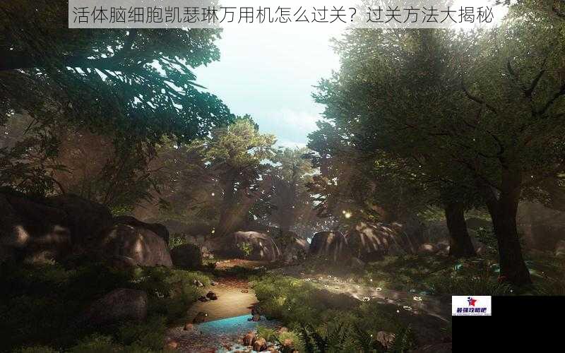 活体脑细胞凯瑟琳万用机怎么过关？过关方法大揭秘