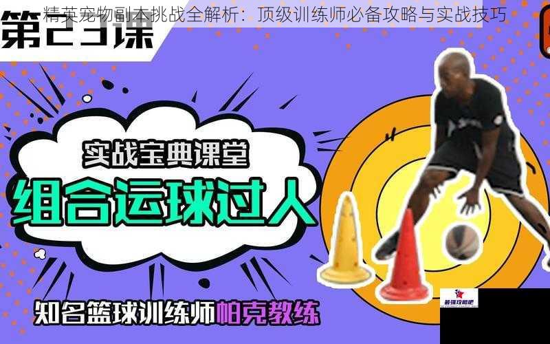 精英宠物副本挑战全解析：顶级训练师必备攻略与实战技巧