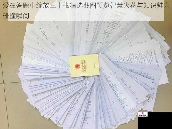 爱在答题中绽放三十张精选截图预览智慧火花与知识魅力碰撞瞬间