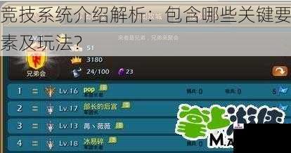 竞技系统介绍解析：包含哪些关键要素及玩法？