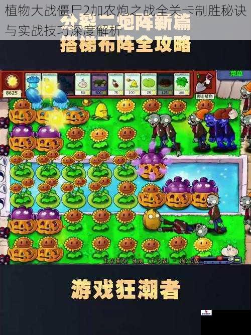 植物大战僵尸2加农炮之战全关卡制胜秘诀与实战技巧深度解析