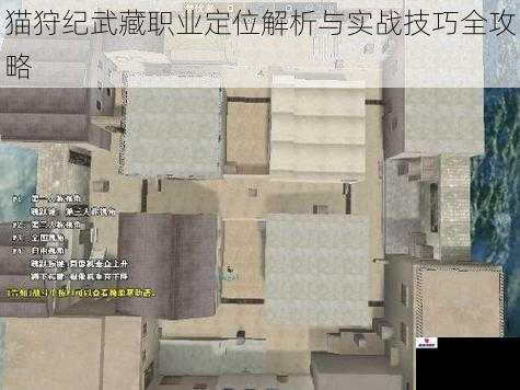 猫狩纪武藏职业定位解析与实战技巧全攻略