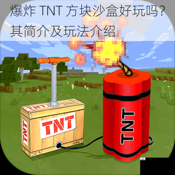 爆炸 TNT 方块沙盒好玩吗？其简介及玩法介绍