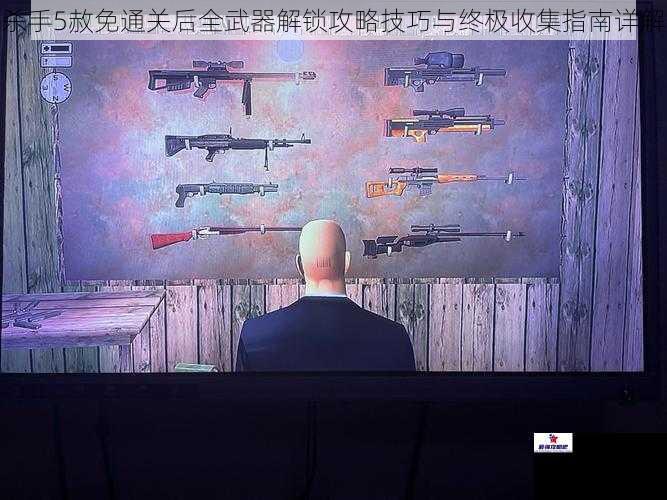 杀手5赦免通关后全武器解锁攻略技巧与终极收集指南详解