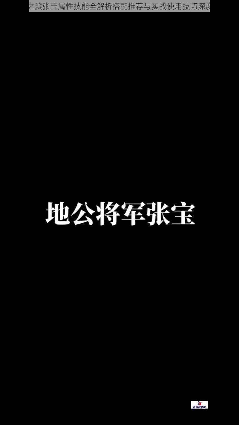率土之滨张宝属性技能全解析搭配推荐与实战使用技巧深度评测