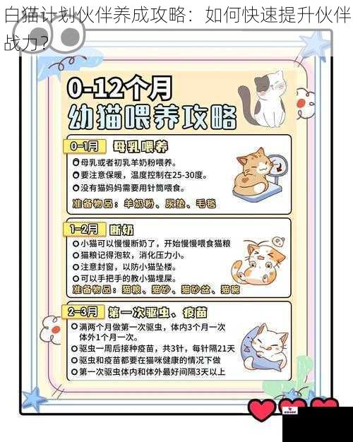 白猫计划伙伴养成攻略：如何快速提升伙伴战力？