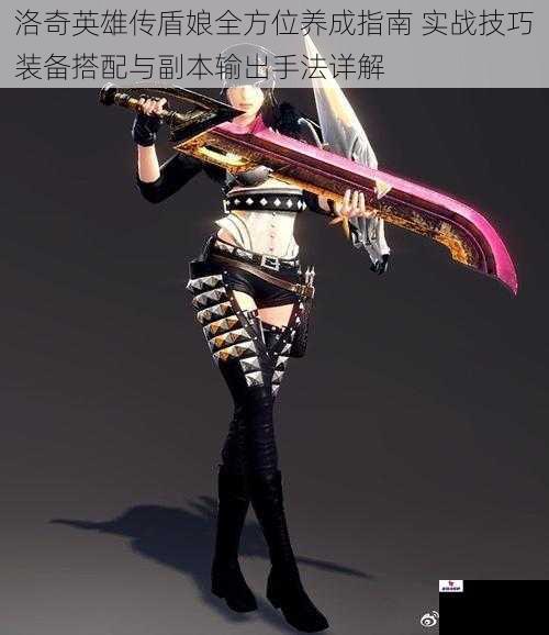 洛奇英雄传盾娘全方位养成指南 实战技巧装备搭配与副本输出手法详解