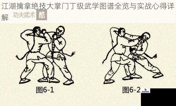 江湖擒拿绝技大掌门丁级武学图谱全览与实战心得详解