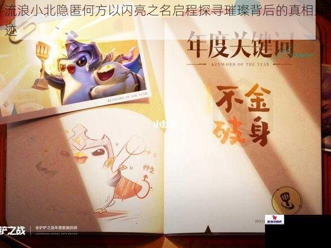 流浪小北隐匿何方以闪亮之名启程探寻璀璨背后的真相踪迹