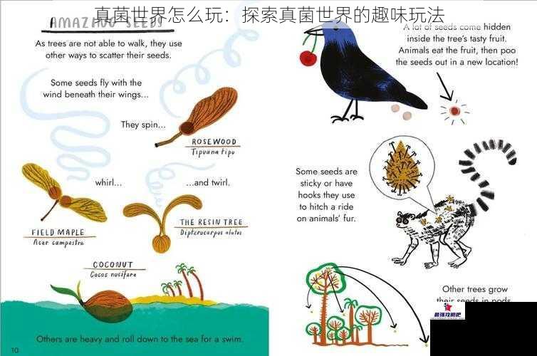 真菌世界怎么玩：探索真菌世界的趣味玩法